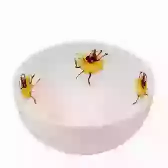 Small Bowl